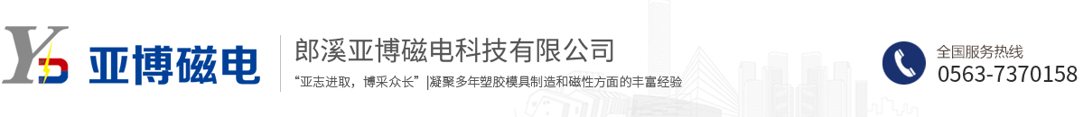 塑磁,注塑铁氧体,塑磁模具,霍尔感应磁环,塑磁转子-郎溪亚博磁电科技有限公司